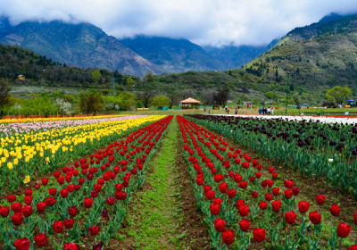 Punjab Jammu Kashmir Amritsar Leh Ladakh