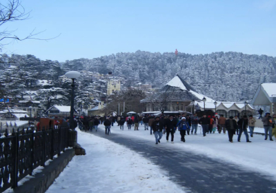 Amritsar Chandigarh Shimla Package